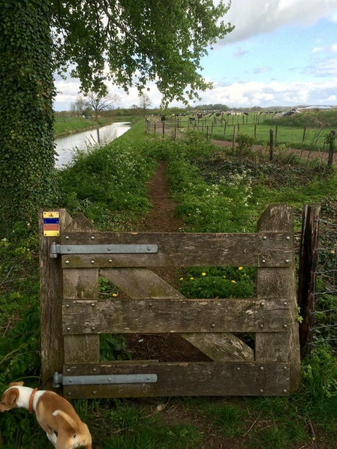 Boerengastenverblijf De Kromme Rijn Cothen Bagian luar foto