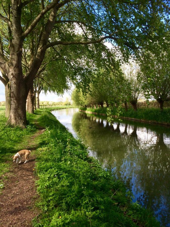 Boerengastenverblijf De Kromme Rijn Cothen Bagian luar foto